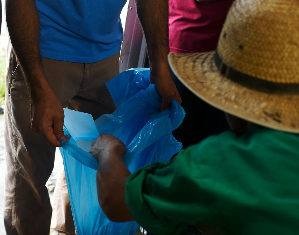 A member of the Amish community drops pieces of meat into a blue bag for Amir Choudhry